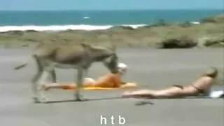 고객 코드 인트 스틸 hd 포르노 엿 마사지.