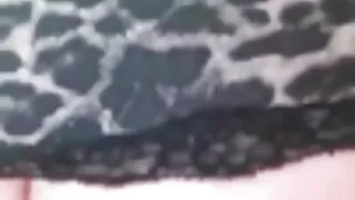 묶여 매디슨 4 외국 프로노 스코파타